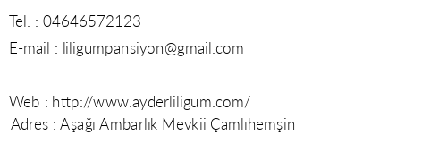 Ayder Liligum Pansiyon Da Evi telefon numaralar, faks, e-mail, posta adresi ve iletiim bilgileri